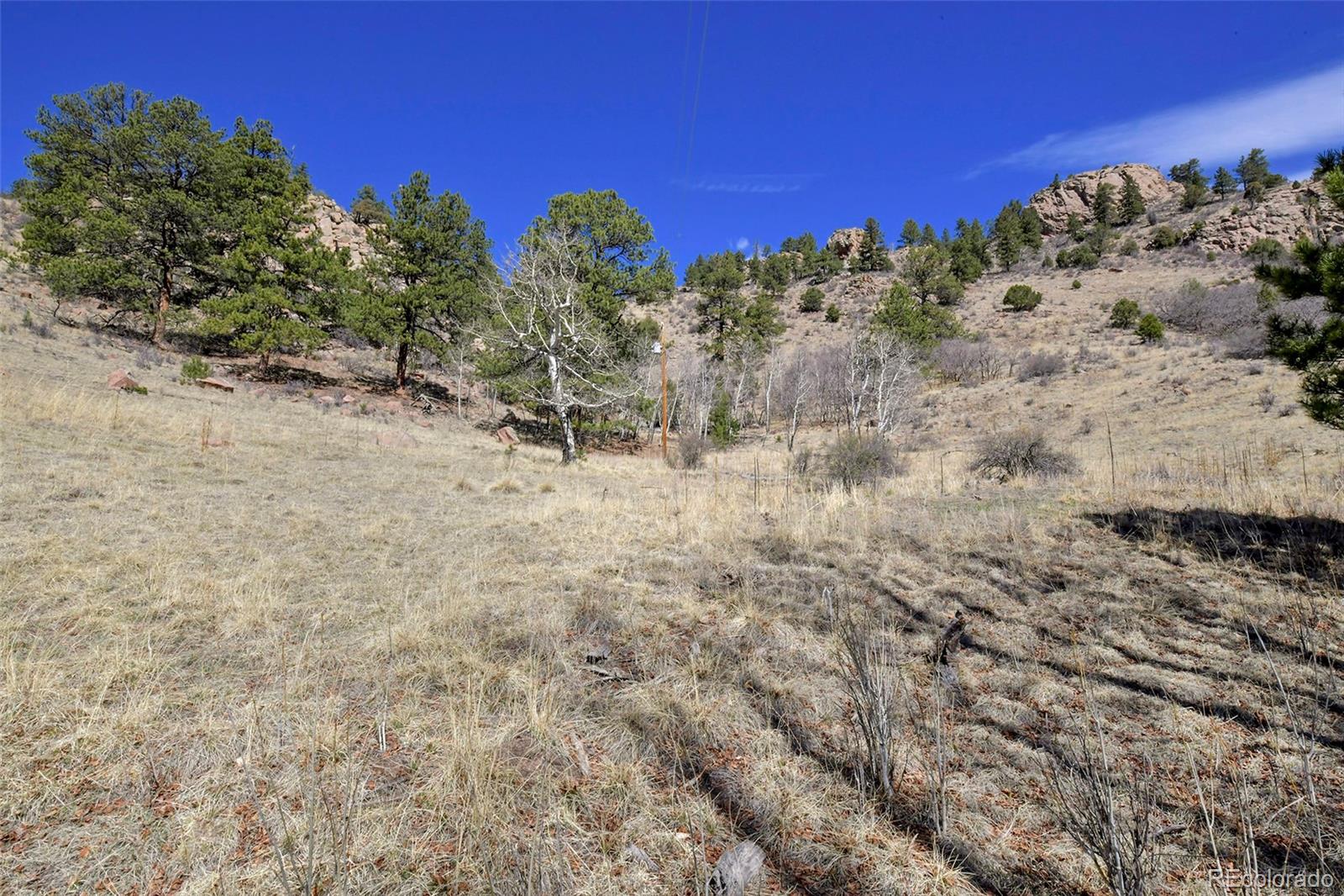 221 Floresta Florissant CO 80816