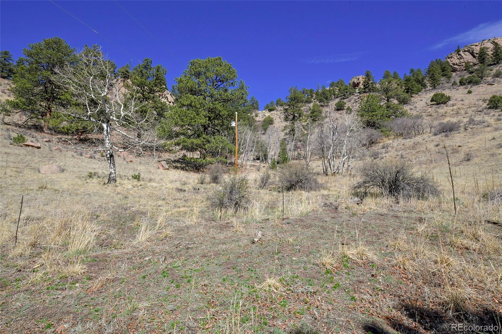 221 Floresta Florissant CO 80816