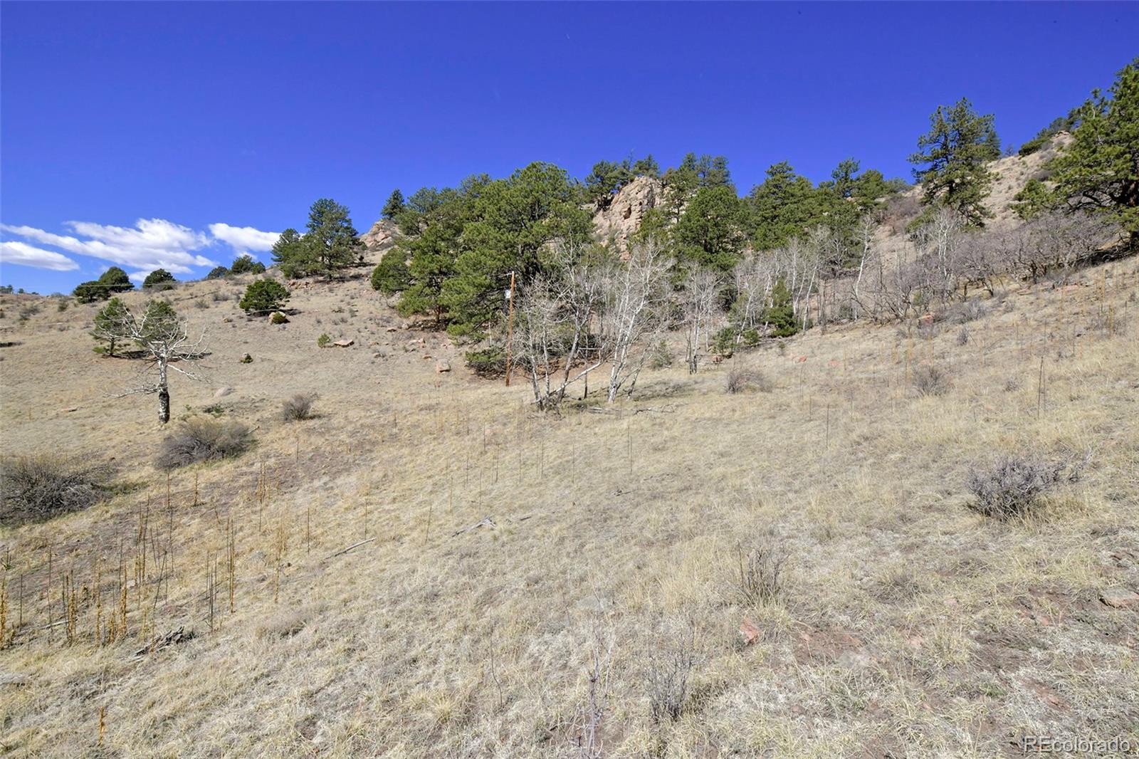 221 Floresta Florissant CO 80816