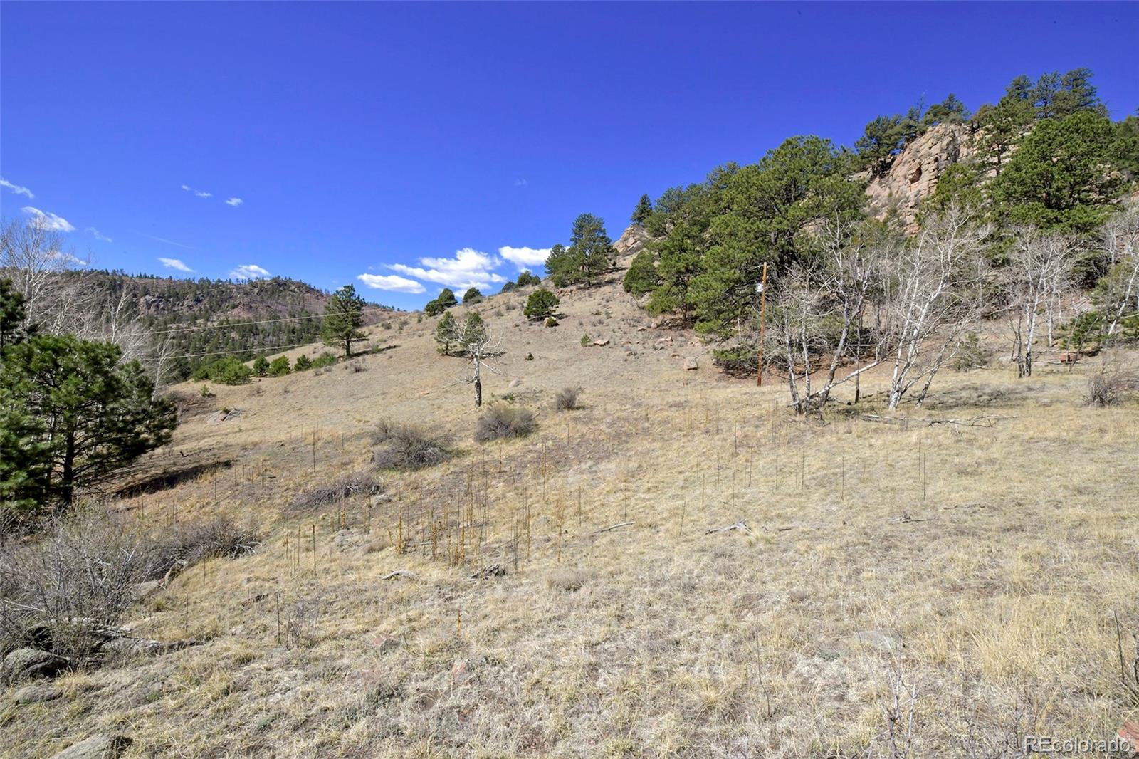 221 Floresta Florissant CO 80816