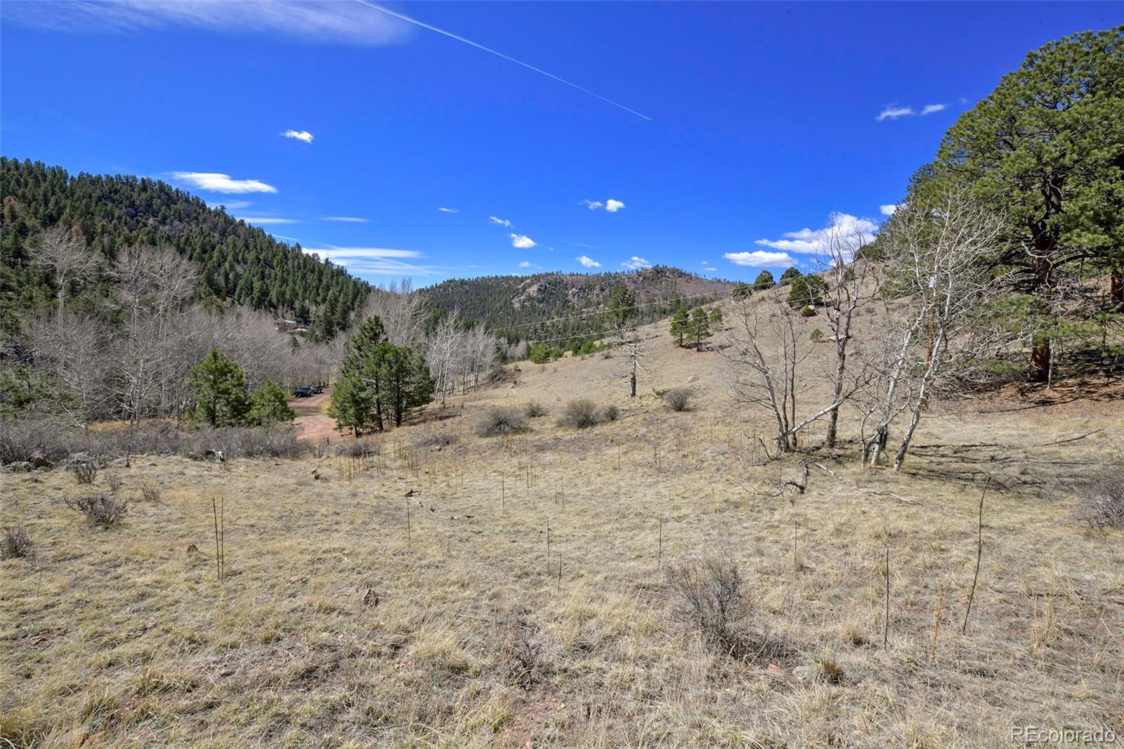 221 Floresta Florissant CO 80816
