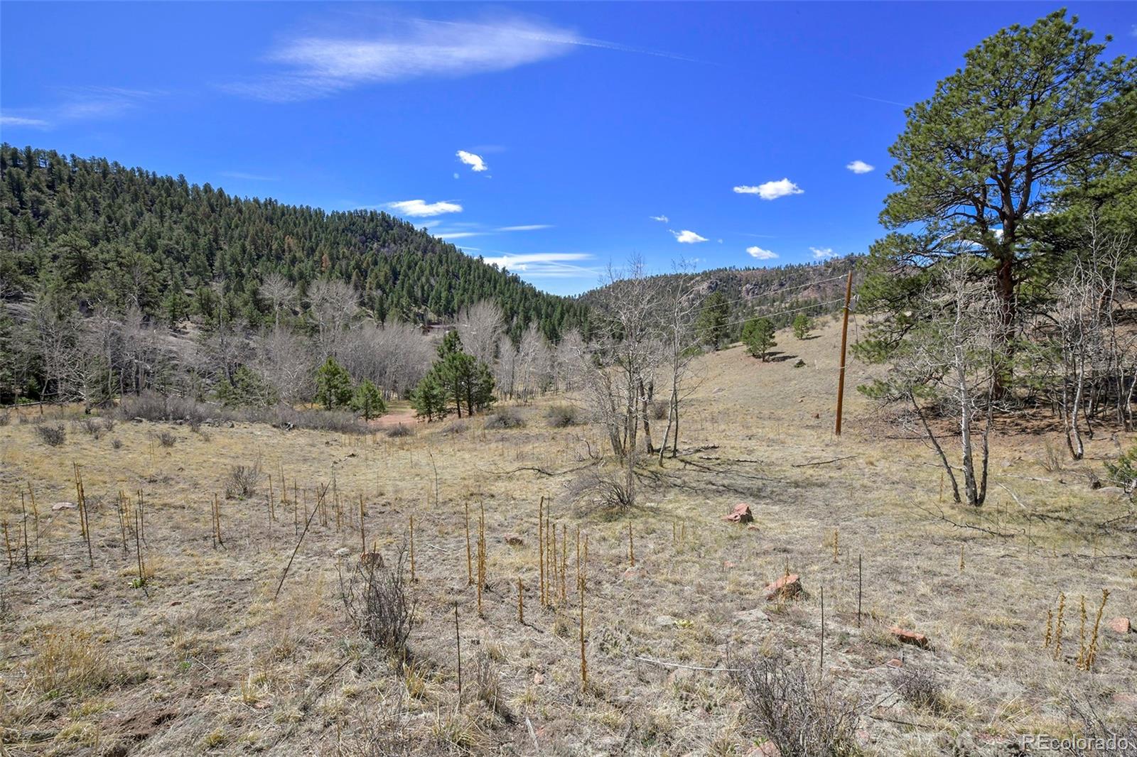 221 Floresta Florissant CO 80816