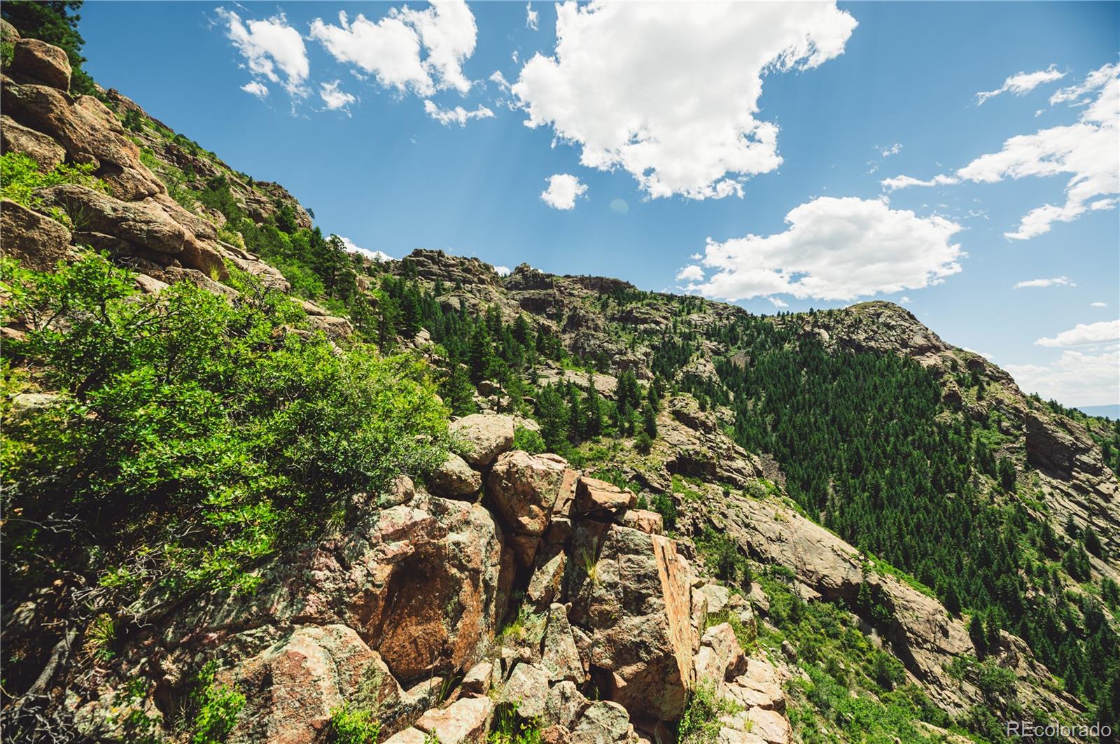Shelf Road Florissant CO 80816