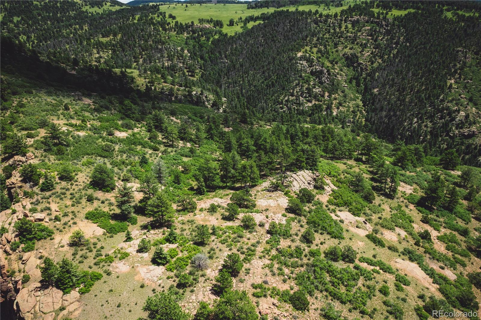 Shelf Road Florissant CO 80816