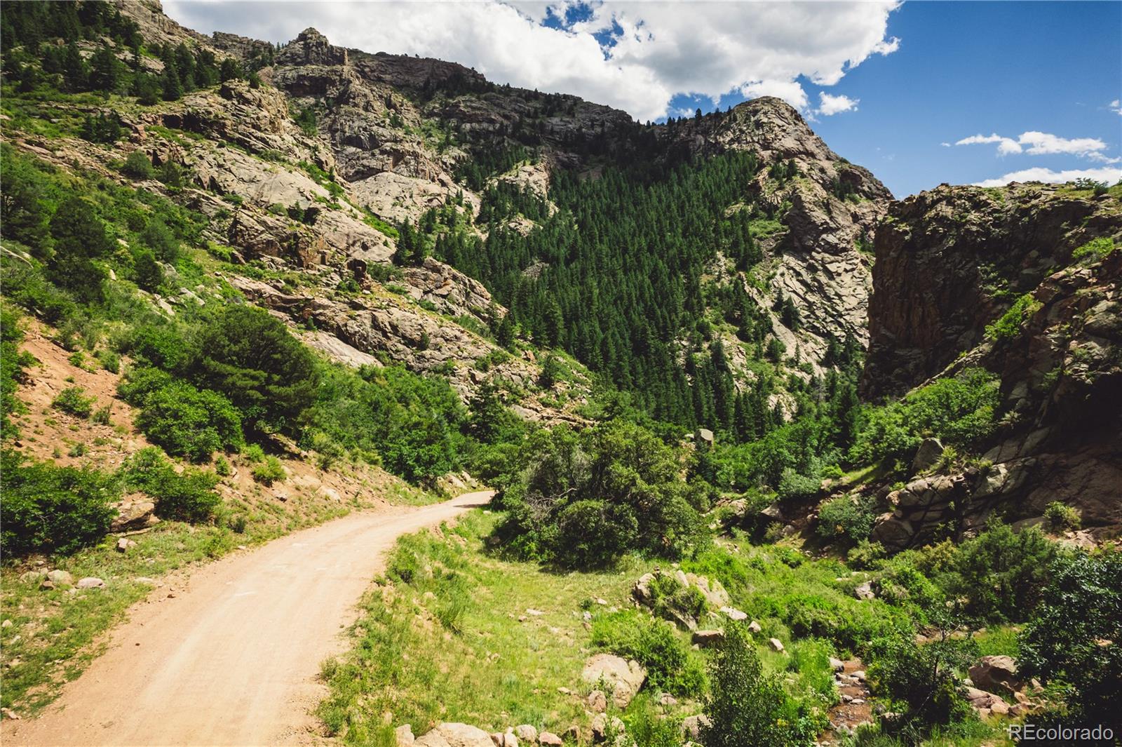 Shelf Road Florissant CO 80816
