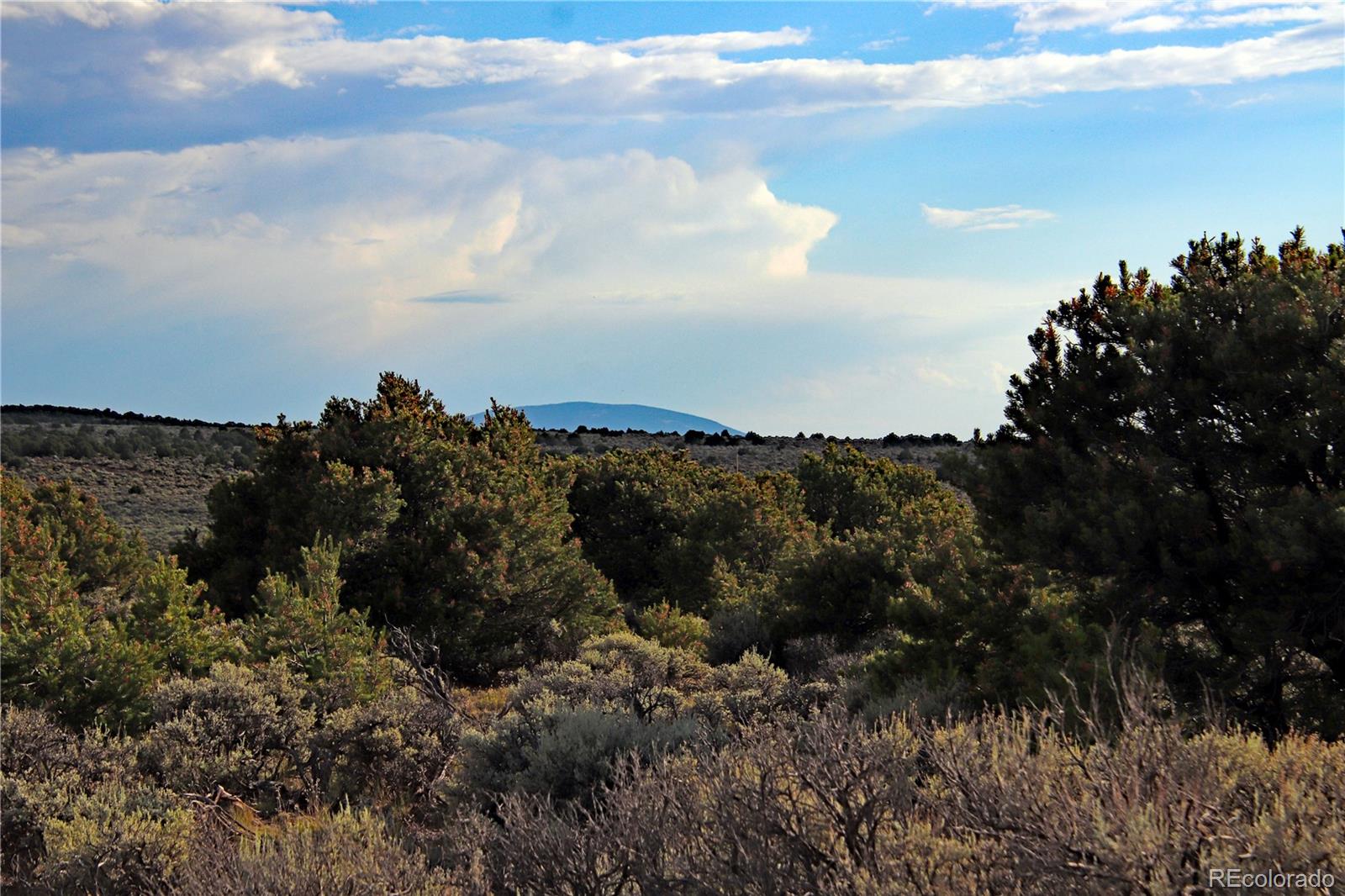 Parcel 5 N Canyon Road San Luis CO 81152