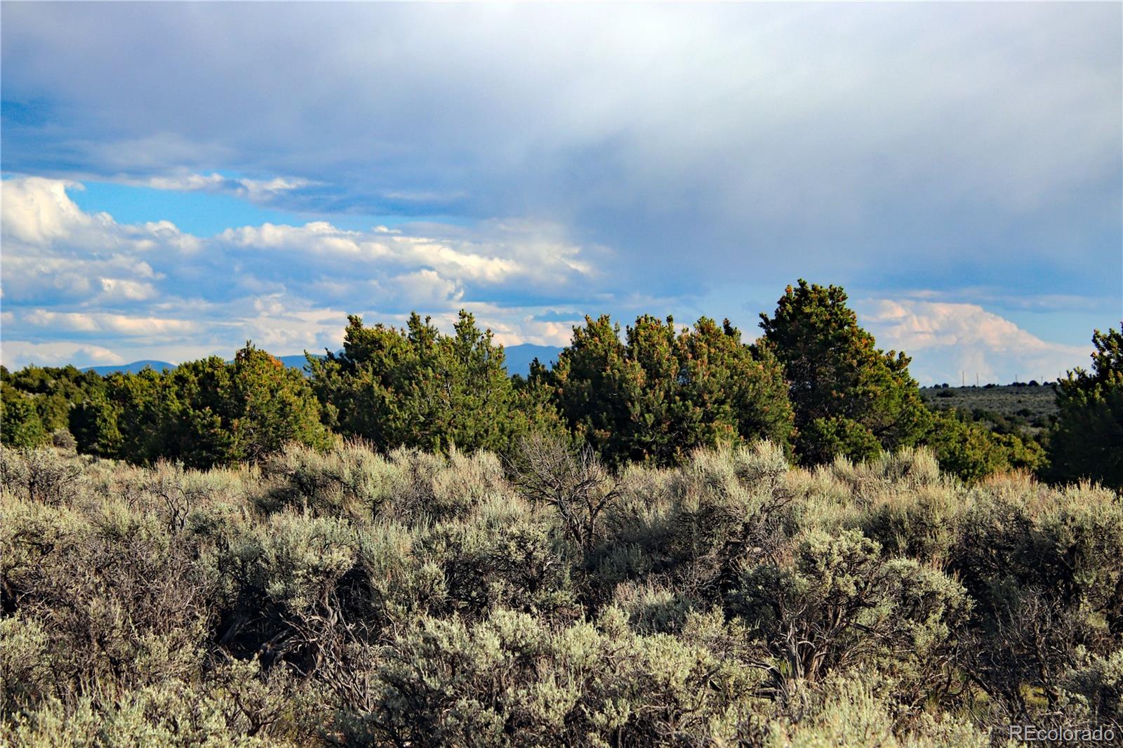 Parcel 5 N Canyon Road San Luis CO 81152