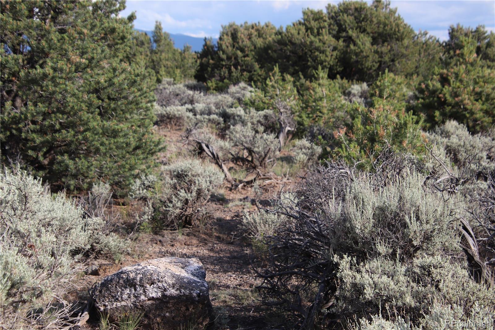 Parcel 5 N Canyon Road San Luis CO 81152