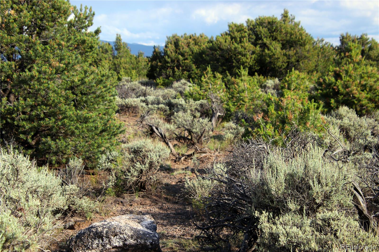 Parcel 5 N Canyon Road San Luis CO 81152