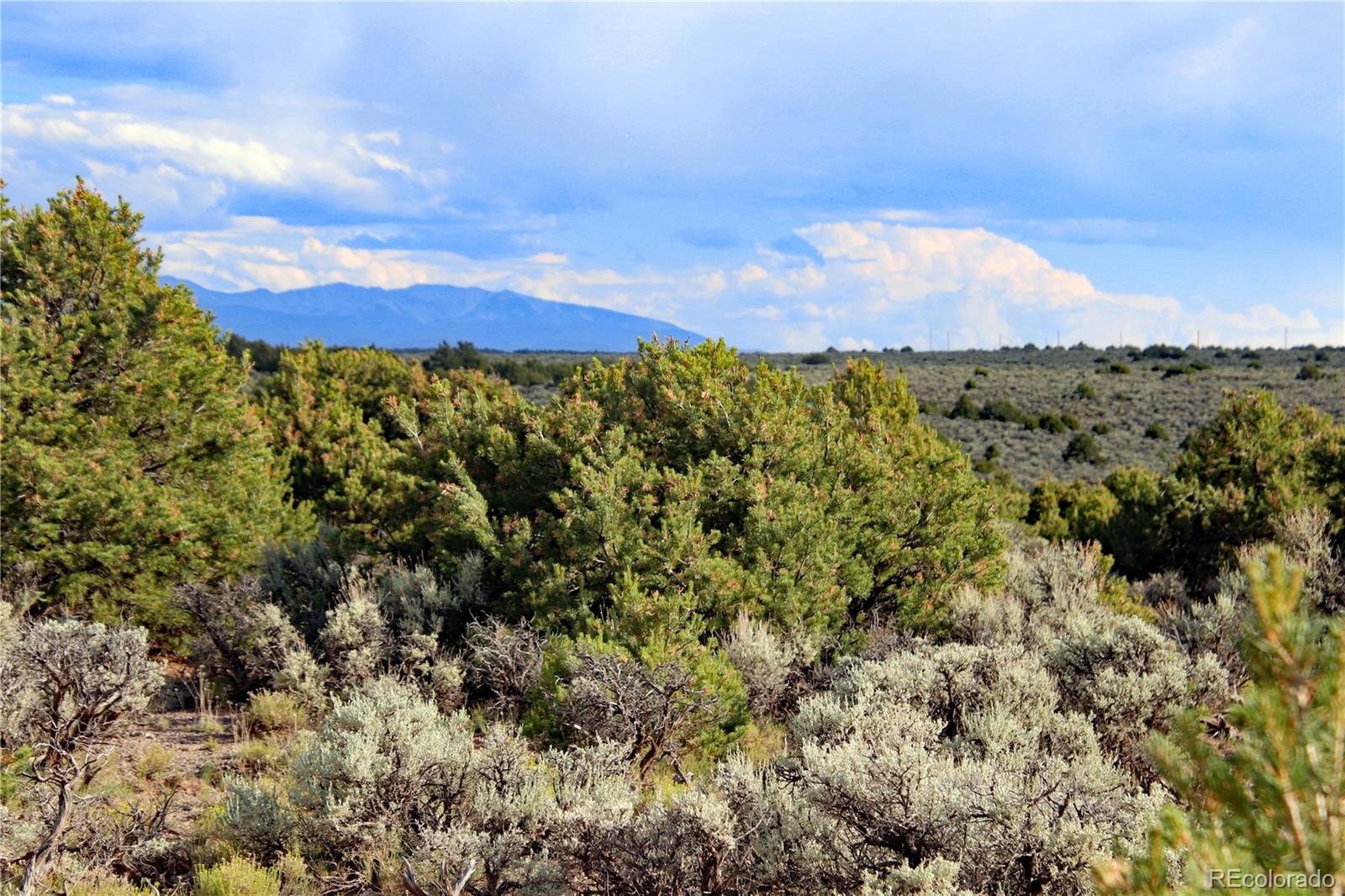 Parcel 5 N Canyon Road San Luis CO 81152