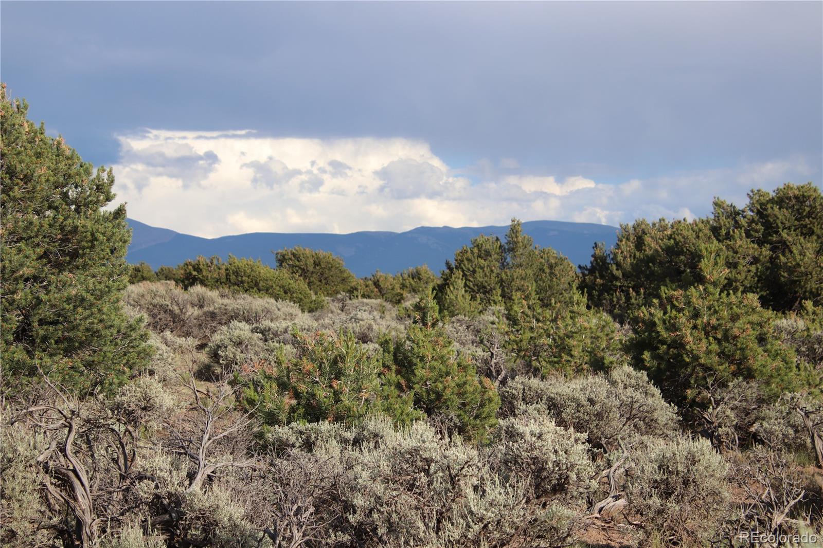 Parcel 5 N Canyon Road San Luis CO 81152
