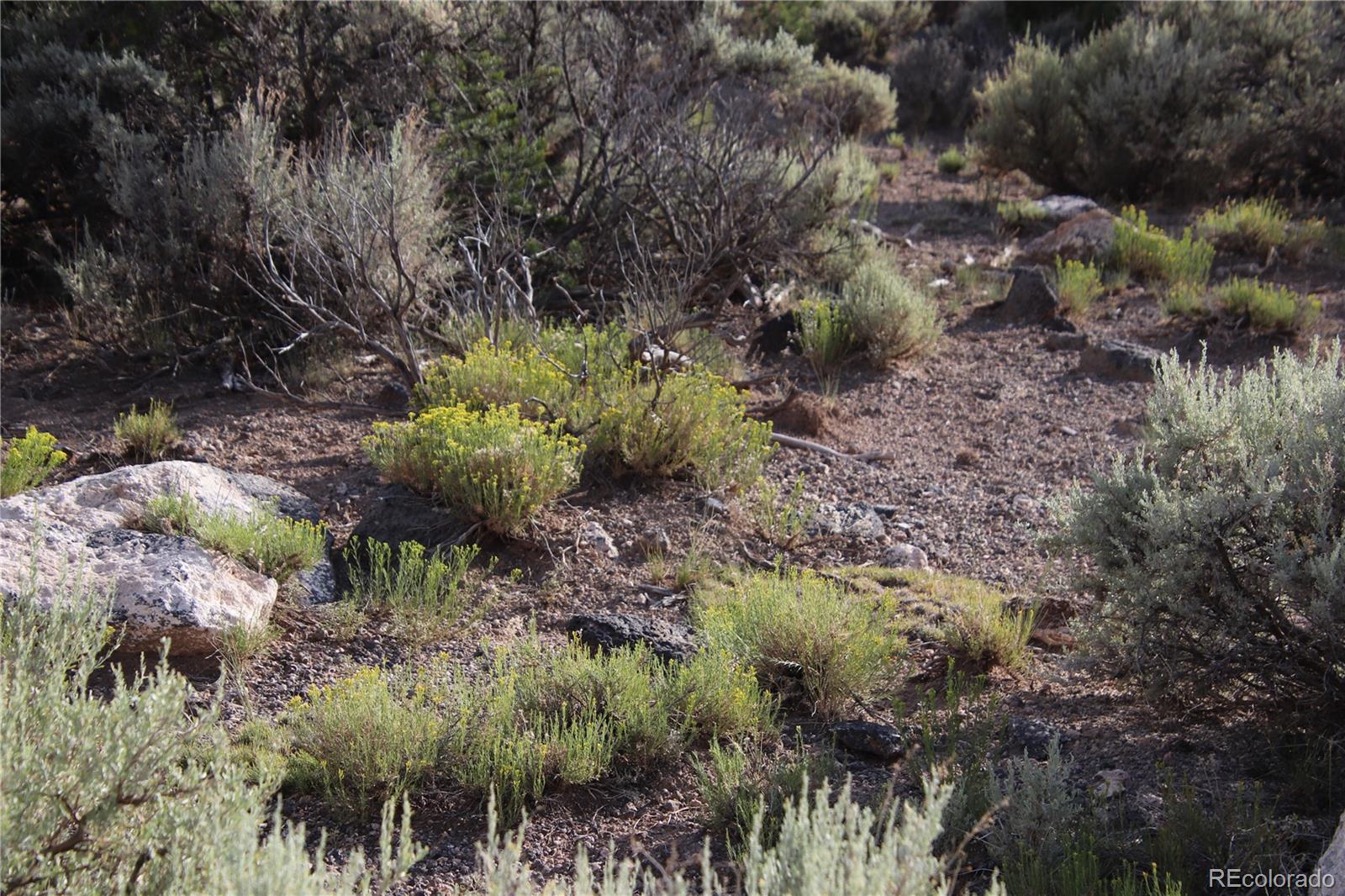 Parcel 5 N Canyon Road San Luis CO 81152