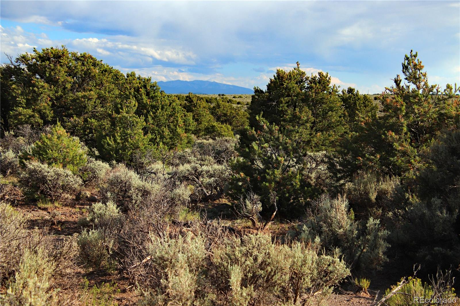 Parcel 5 N Canyon Road San Luis CO 81152