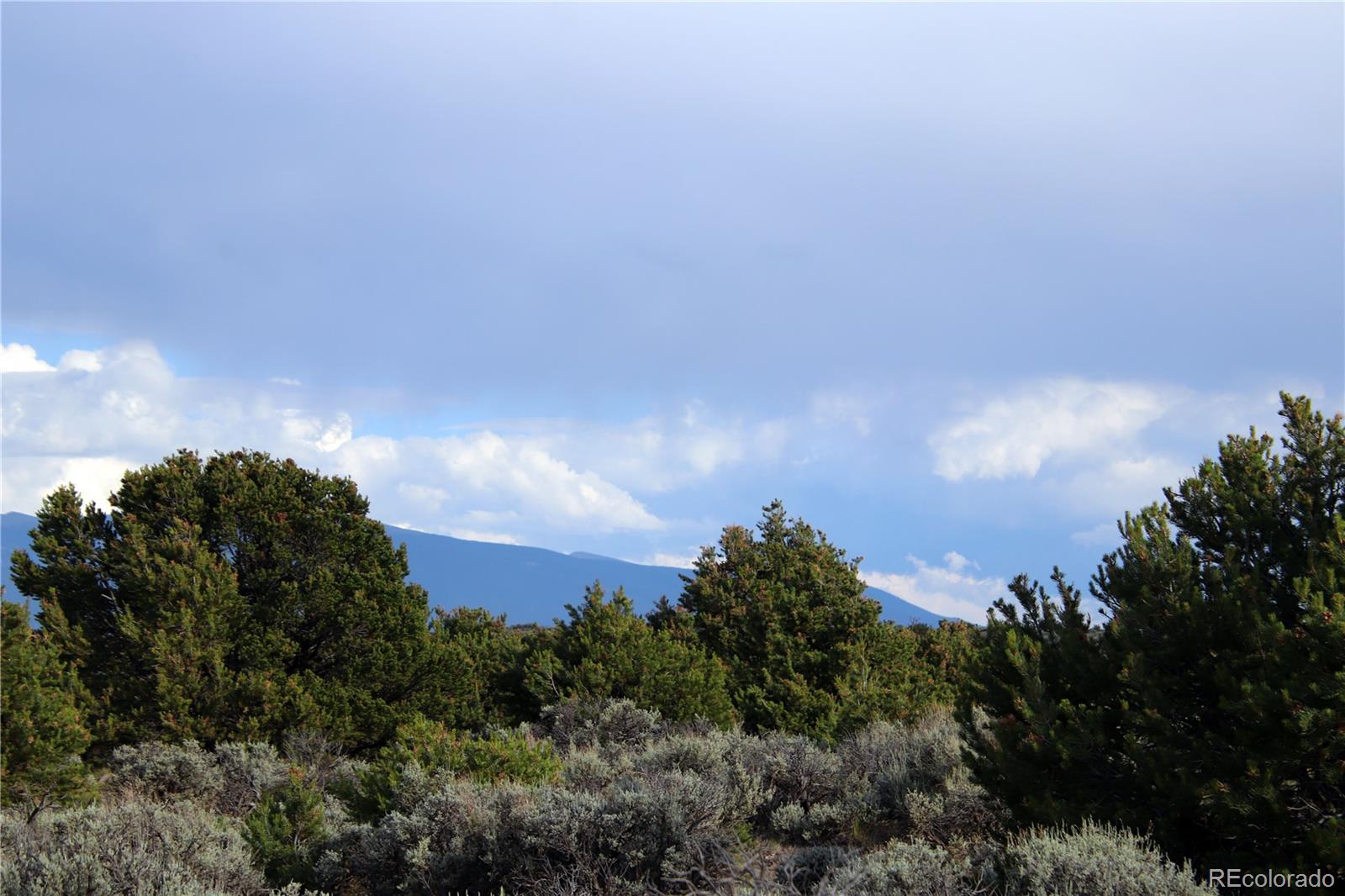 Parcel 5 N Canyon Road San Luis CO 81152
