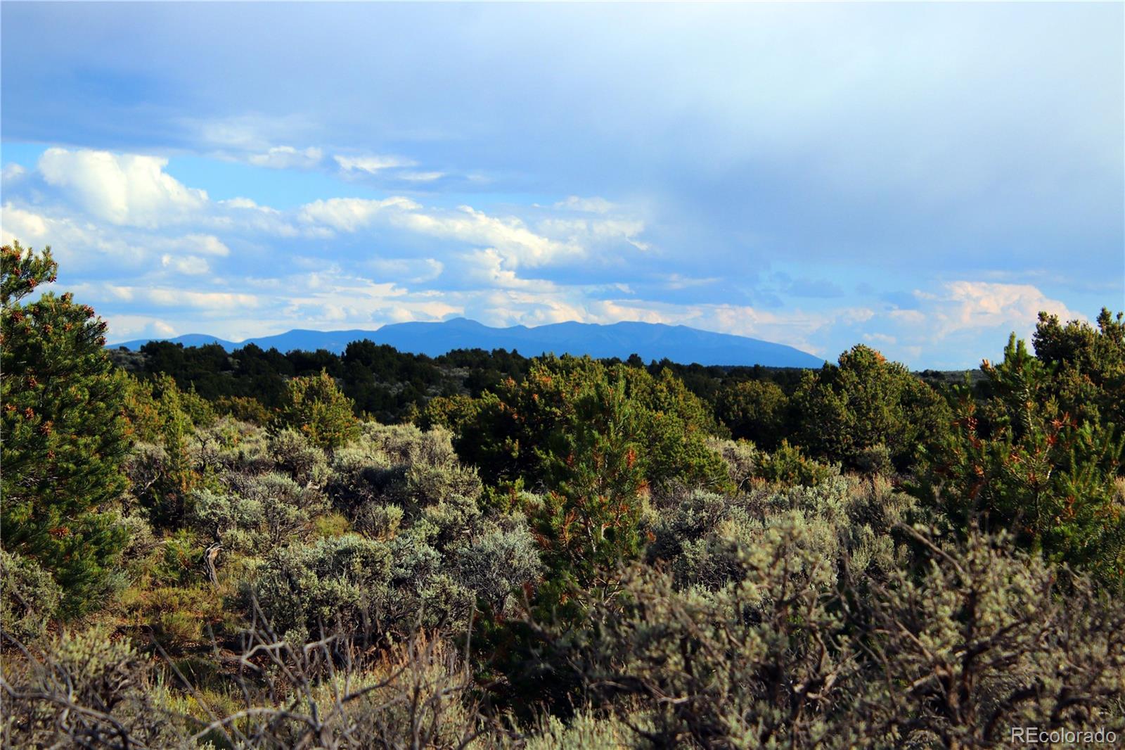 Parcel 5 N Canyon Road San Luis CO 81152
