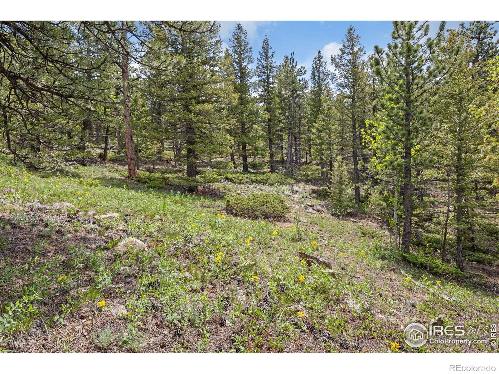 398 Overland Drive Ward CO 80481