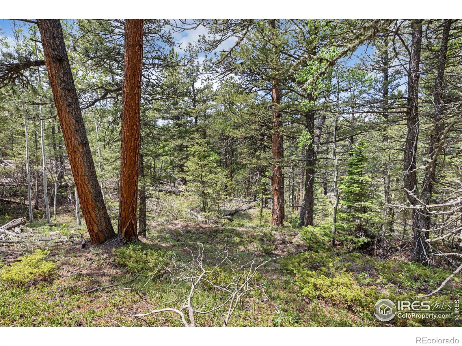 398 Overland Drive Ward CO 80481