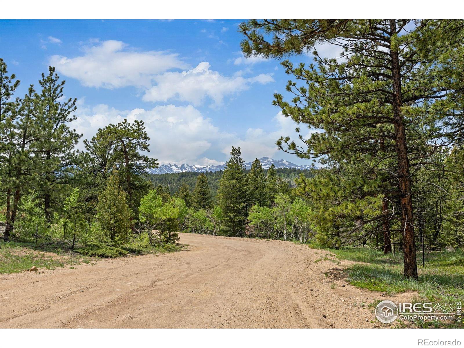 398 Overland Drive Ward CO 80481