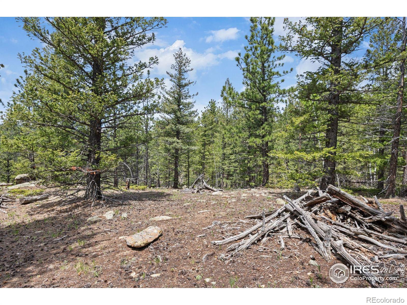 398 Overland Drive Ward CO 80481