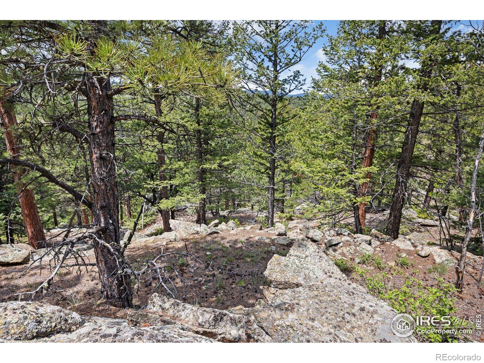 398 Overland Drive Ward CO 80481
