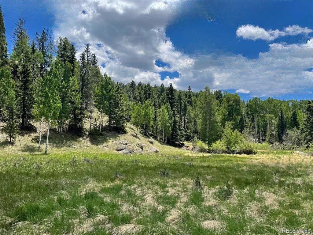 458 Arrowhead Road Florissant CO 80816