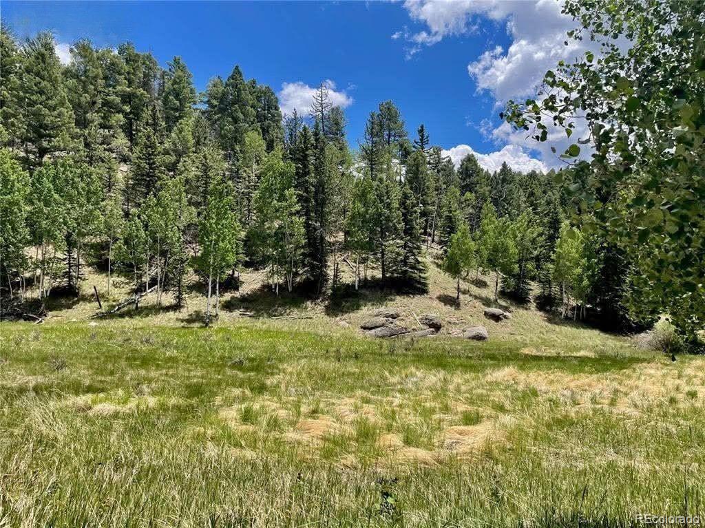 458 Arrowhead Road Florissant CO 80816