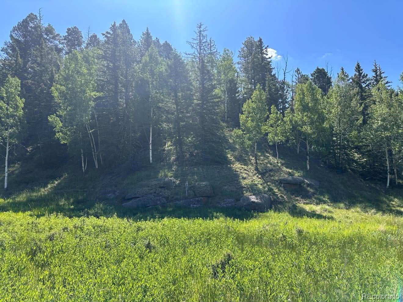 458 Arrowhead Road Florissant CO 80816