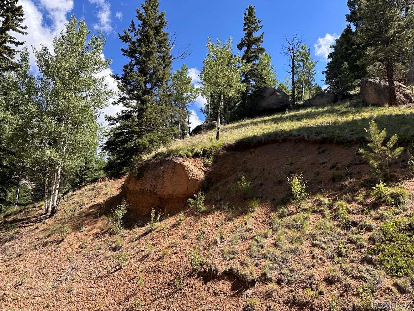 458 Arrowhead Road Florissant CO 80816