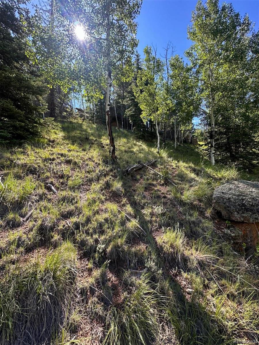 458 Arrowhead Road Florissant CO 80816