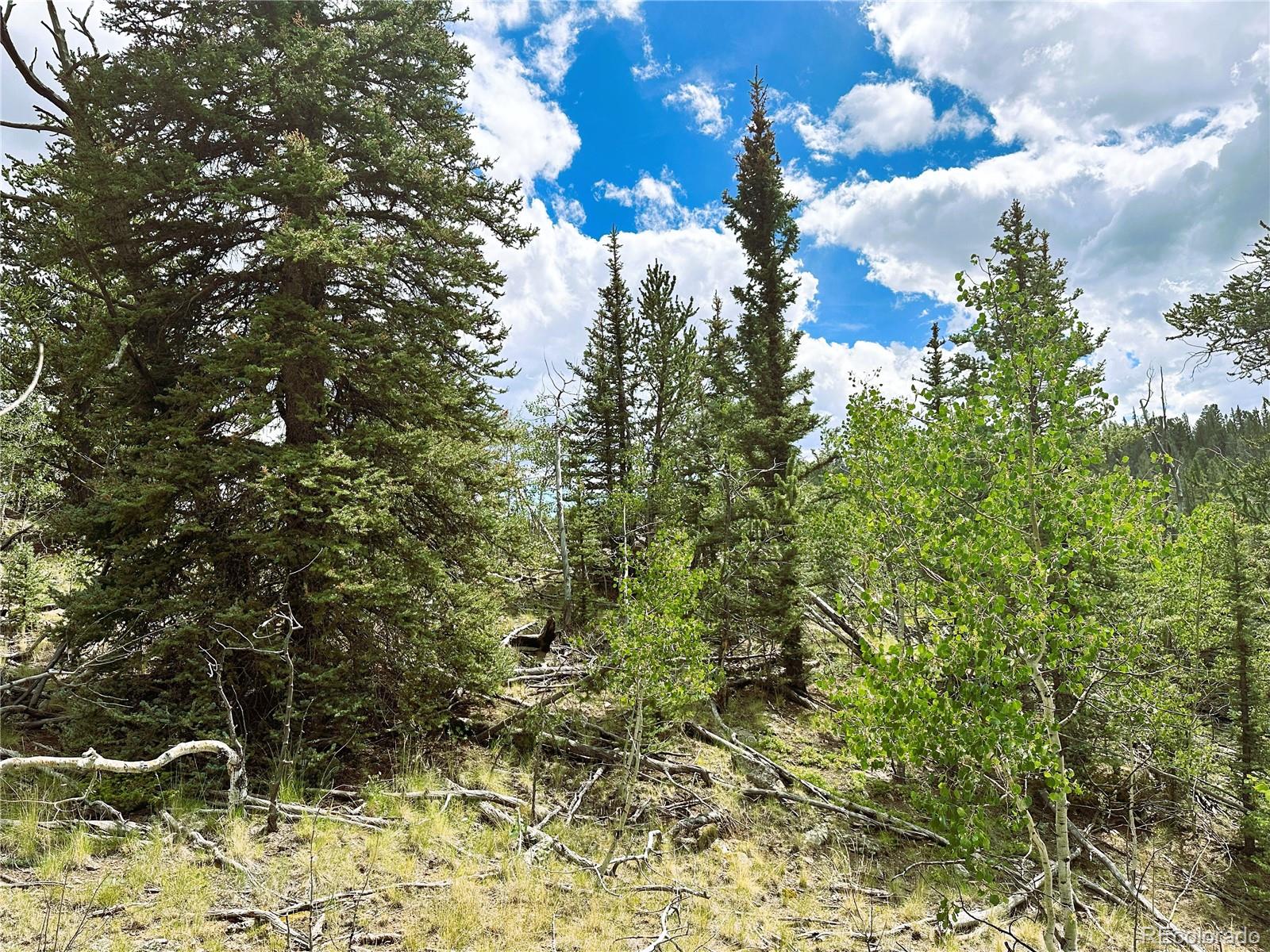 766 W Longbow Drive Como CO 80432