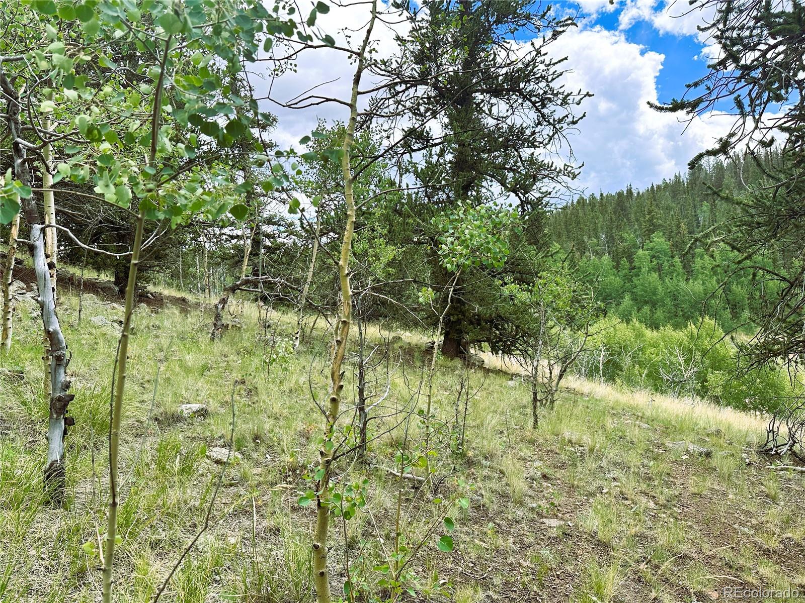766 W Longbow Drive Como CO 80432