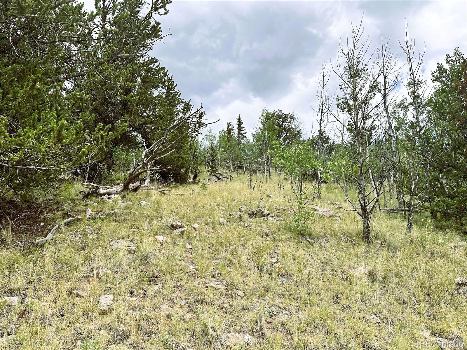 766 W Longbow Drive Como CO 80432