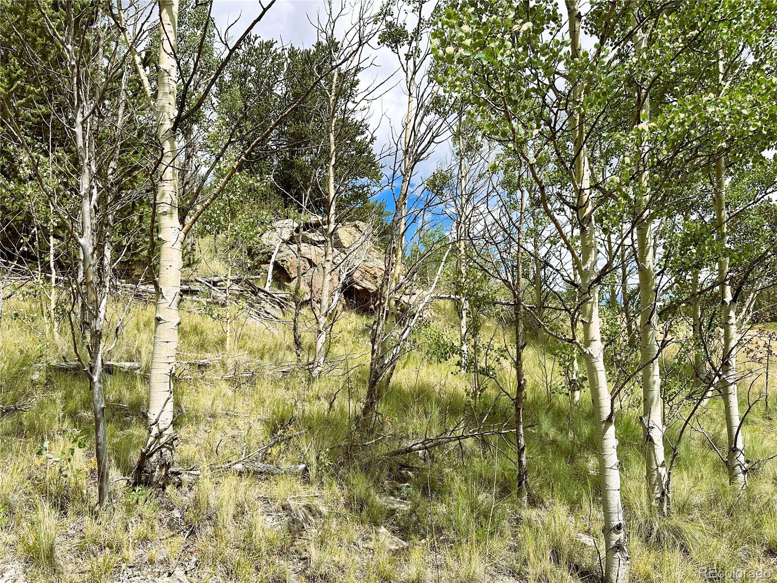 766 W Longbow Drive Como CO 80432