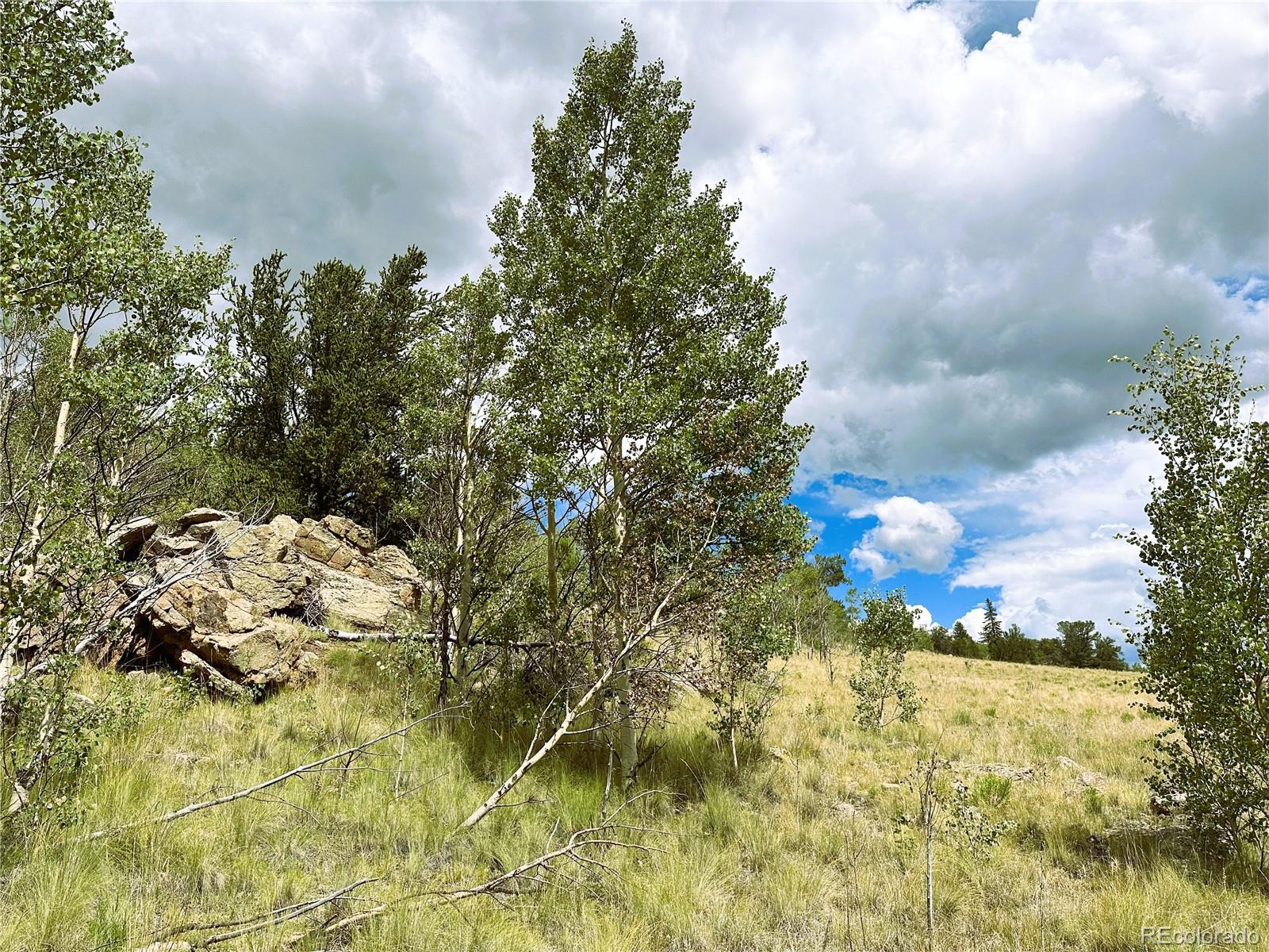766 W Longbow Drive Como CO 80432