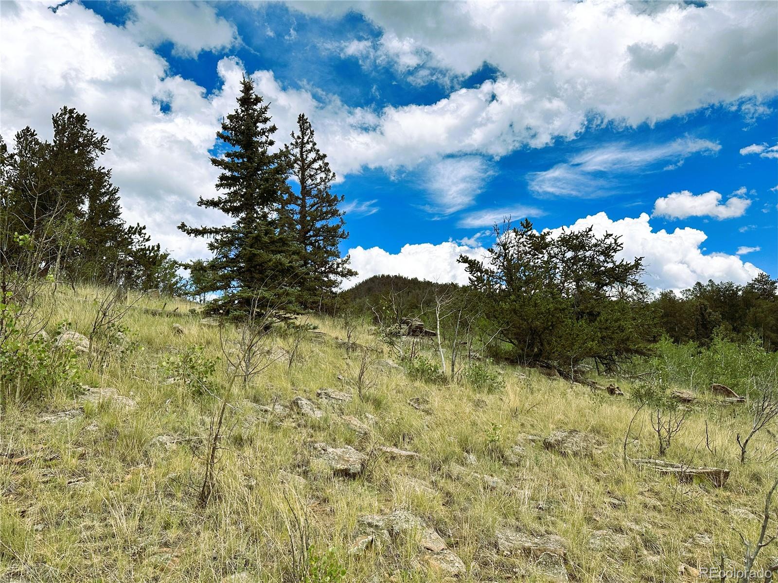 766 W Longbow Drive Como CO 80432