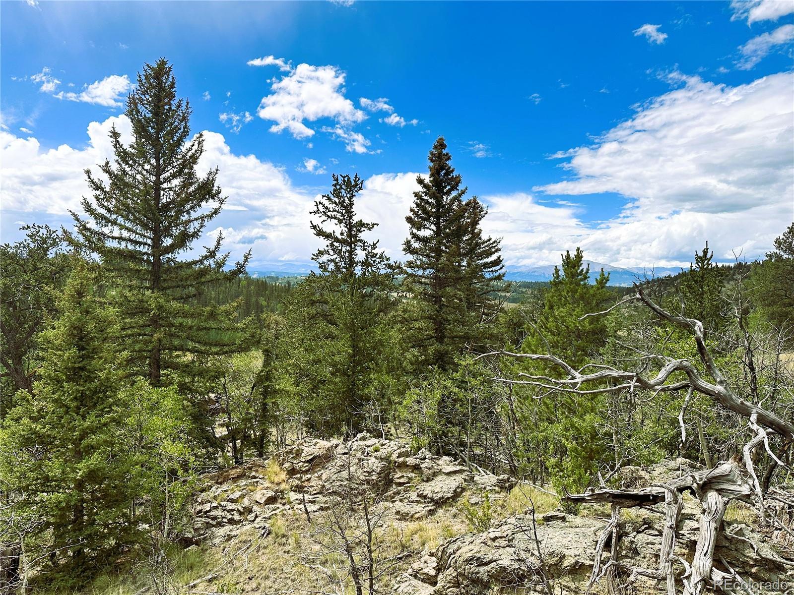 766 W Longbow Drive Como CO 80432