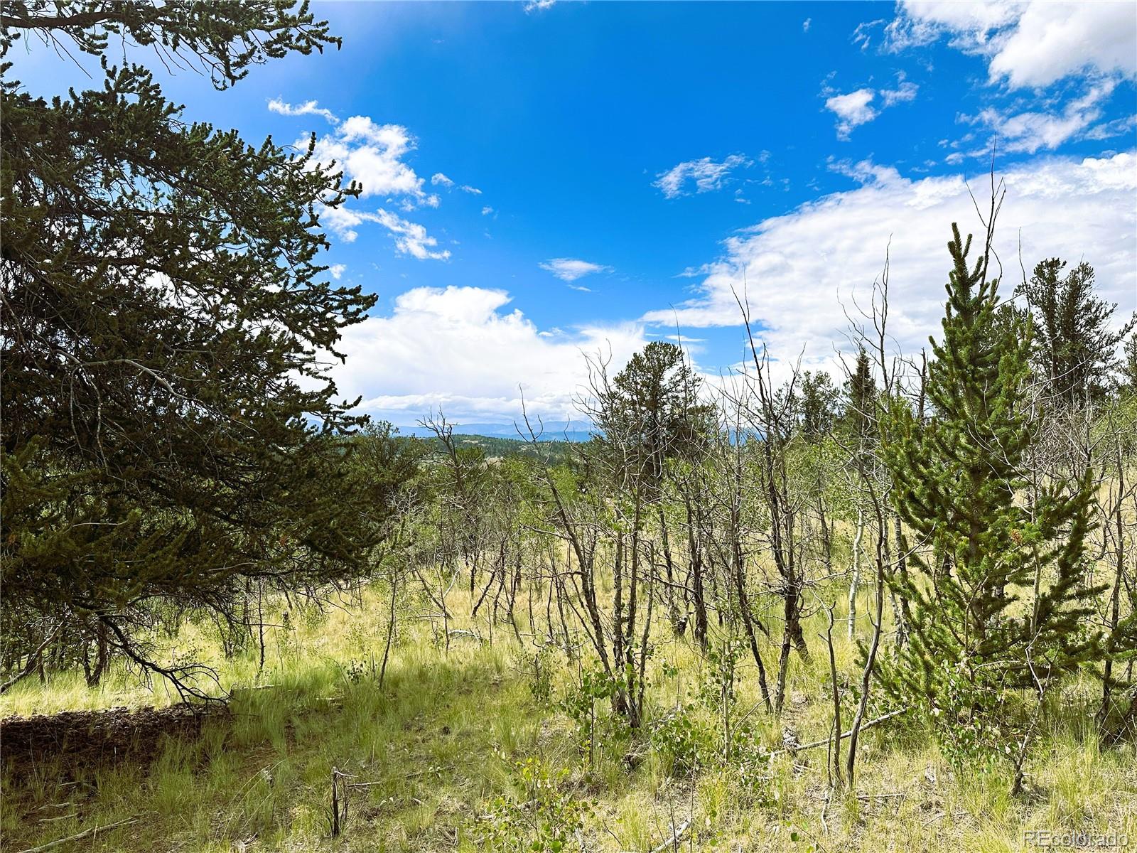 766 W Longbow Drive Como CO 80432
