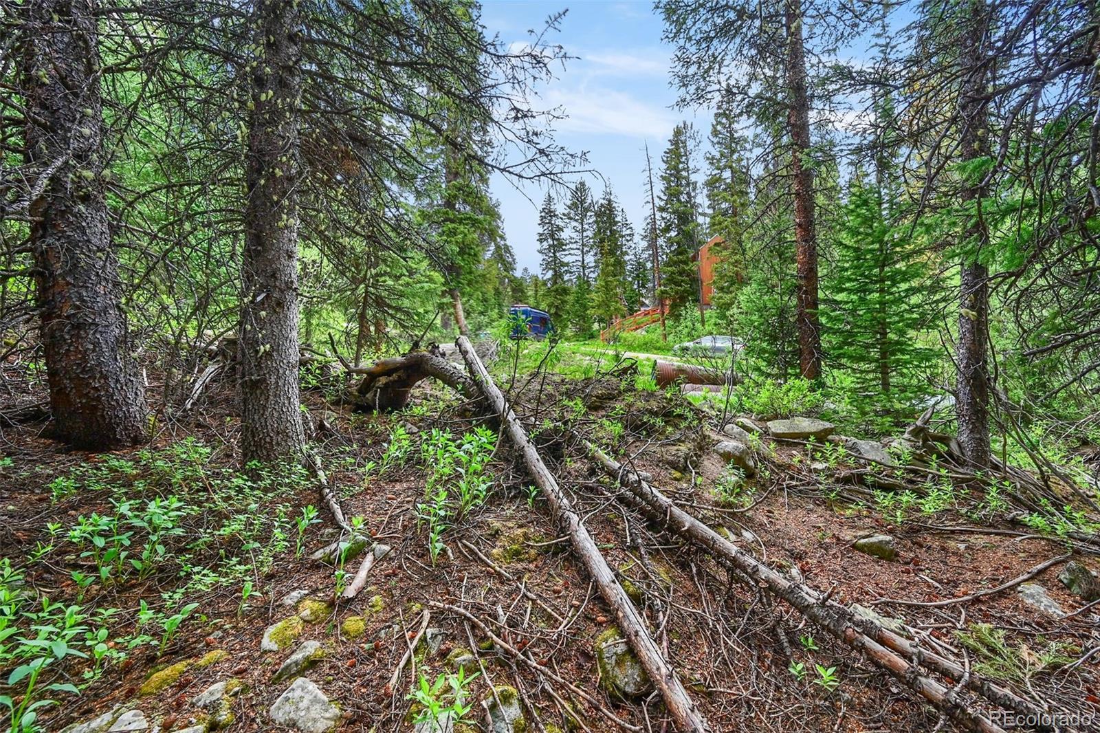 286 Cty Road 675 Breckenridge CO 80424