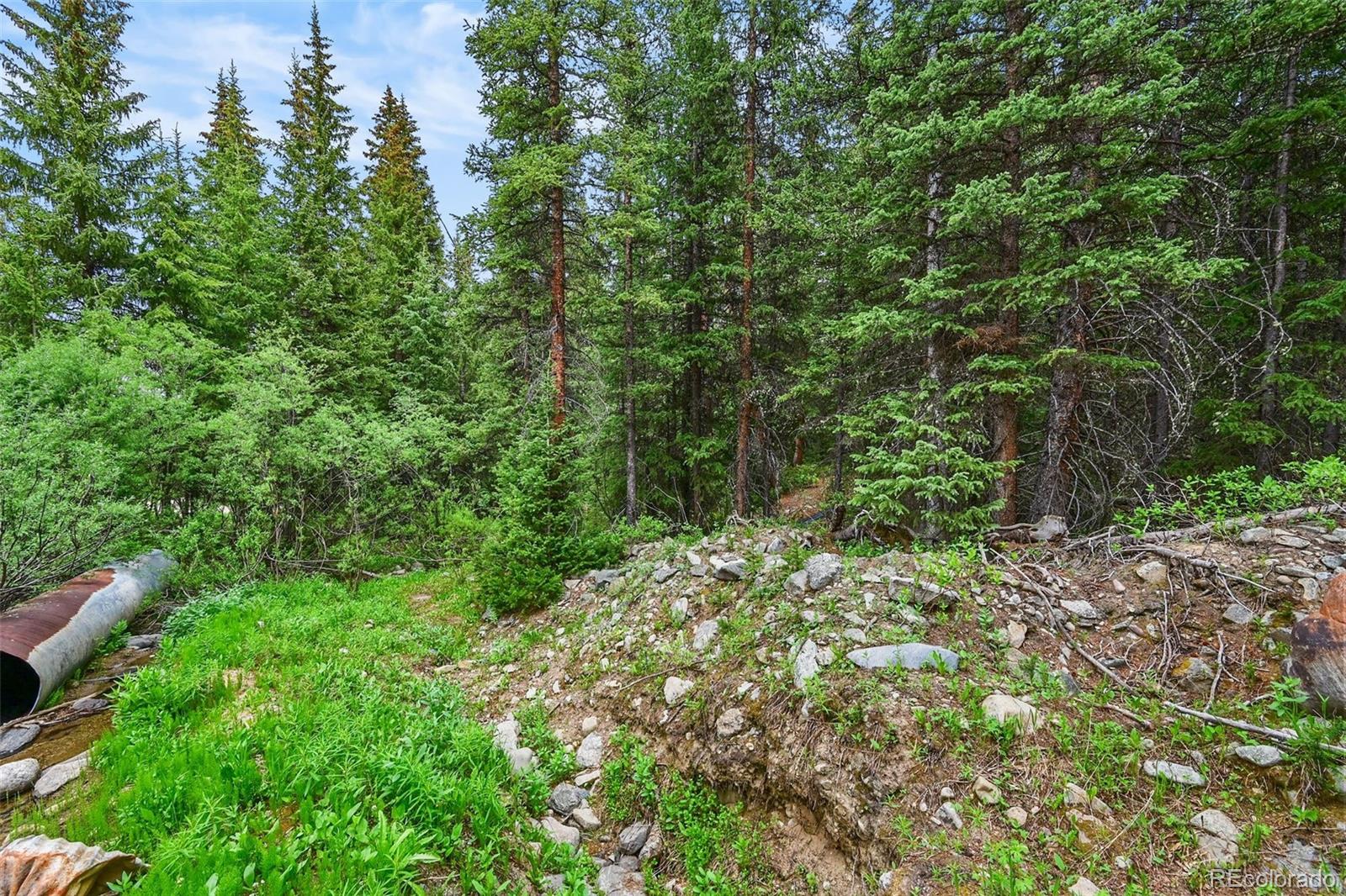 286 Cty Road 675 Breckenridge CO 80424