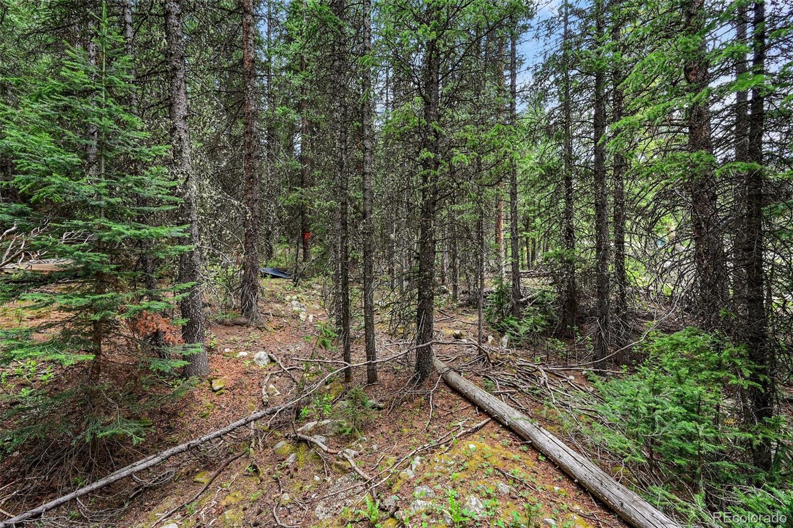 286 Cty Road 675 Breckenridge CO 80424