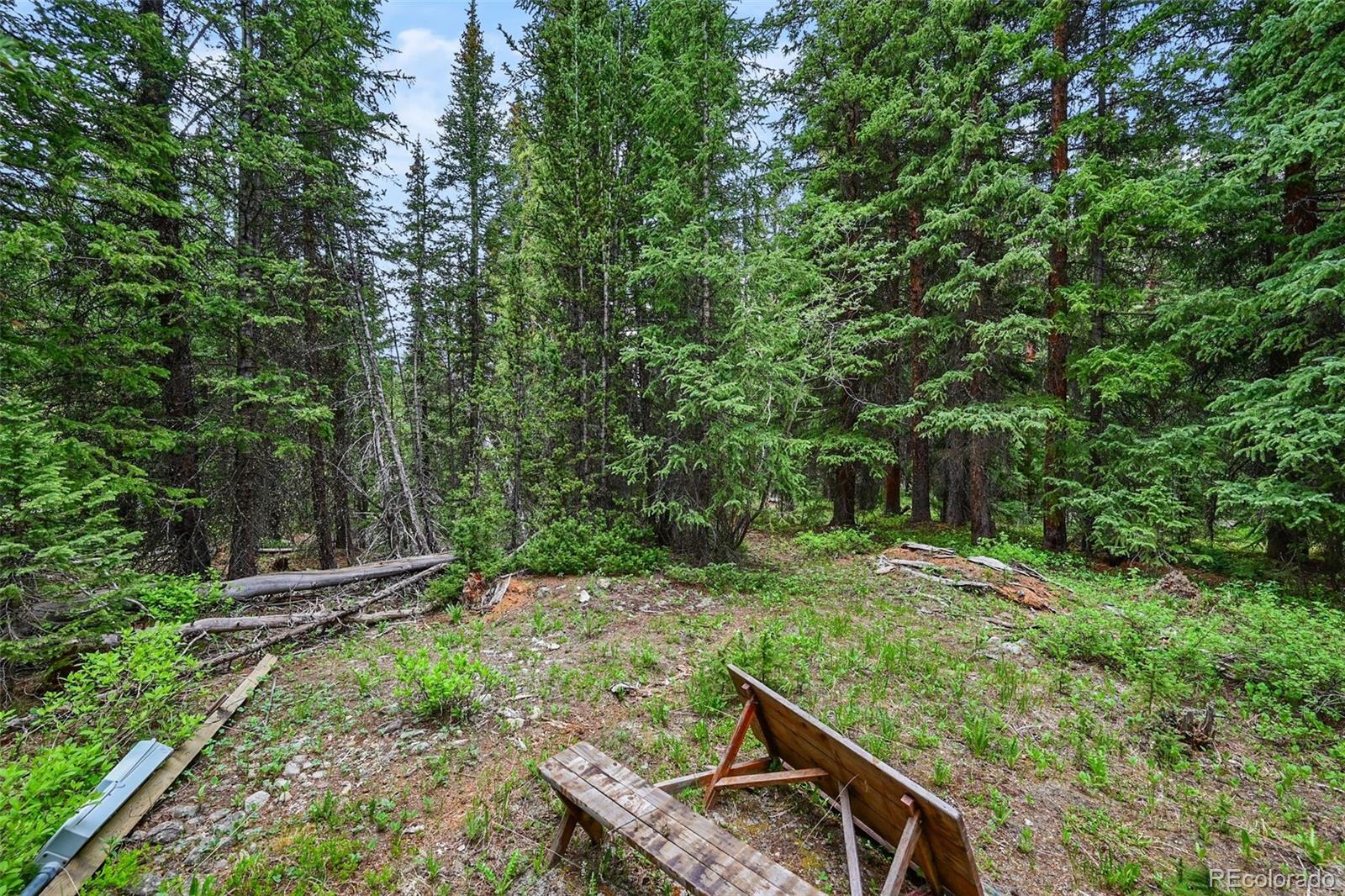 286 Cty Road 675 Breckenridge CO 80424