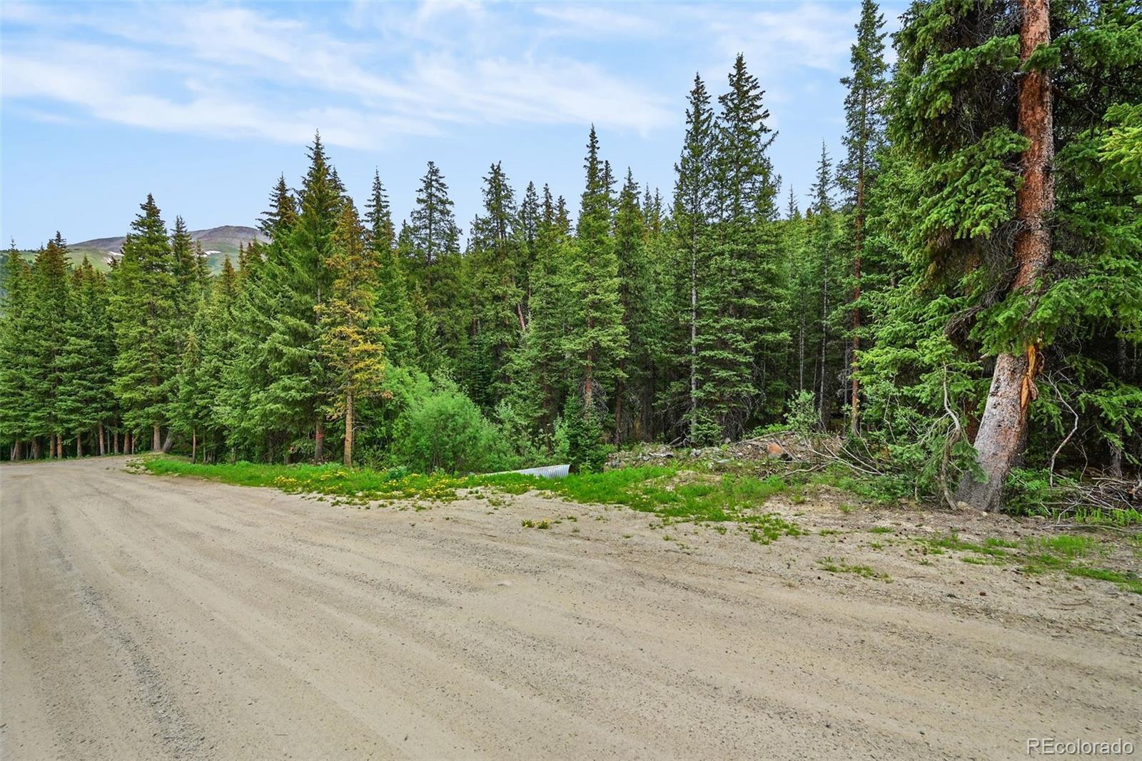 286 Cty Road 675 Breckenridge CO 80424