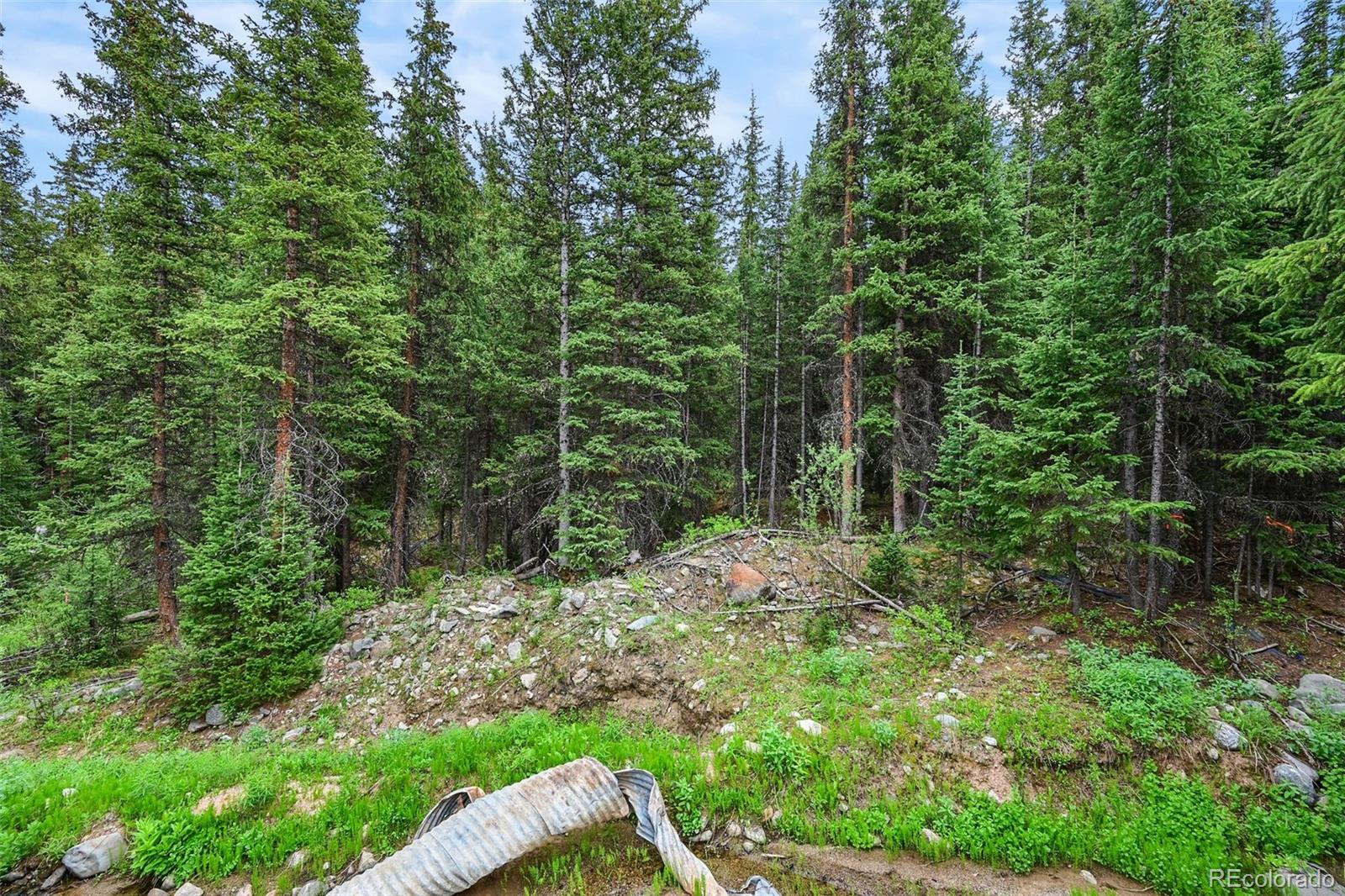 286 Cty Road 675 Breckenridge CO 80424