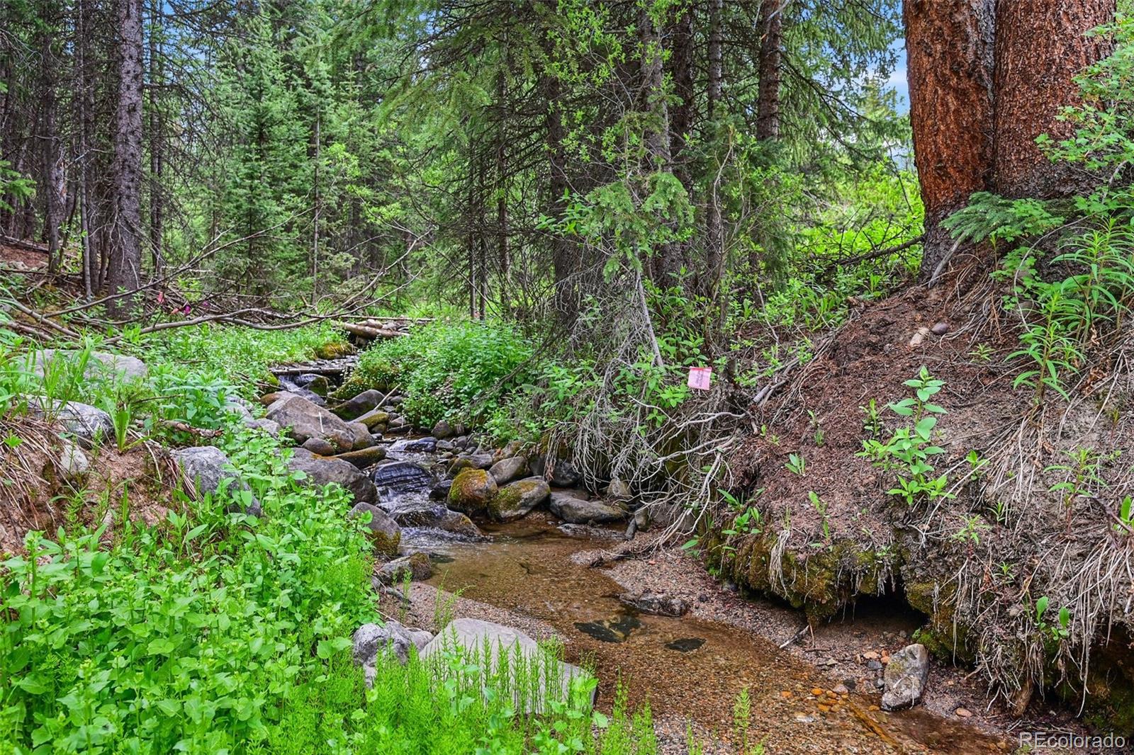 286 Cty Road 675 Breckenridge CO 80424
