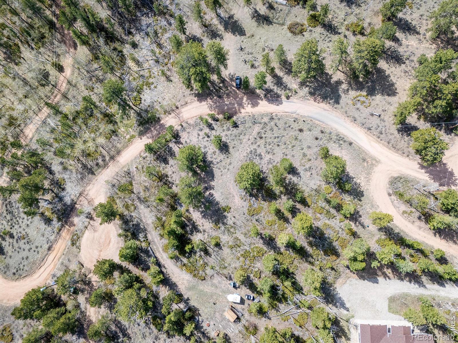 384 Ute Court Red Feather Lakes CO 80545