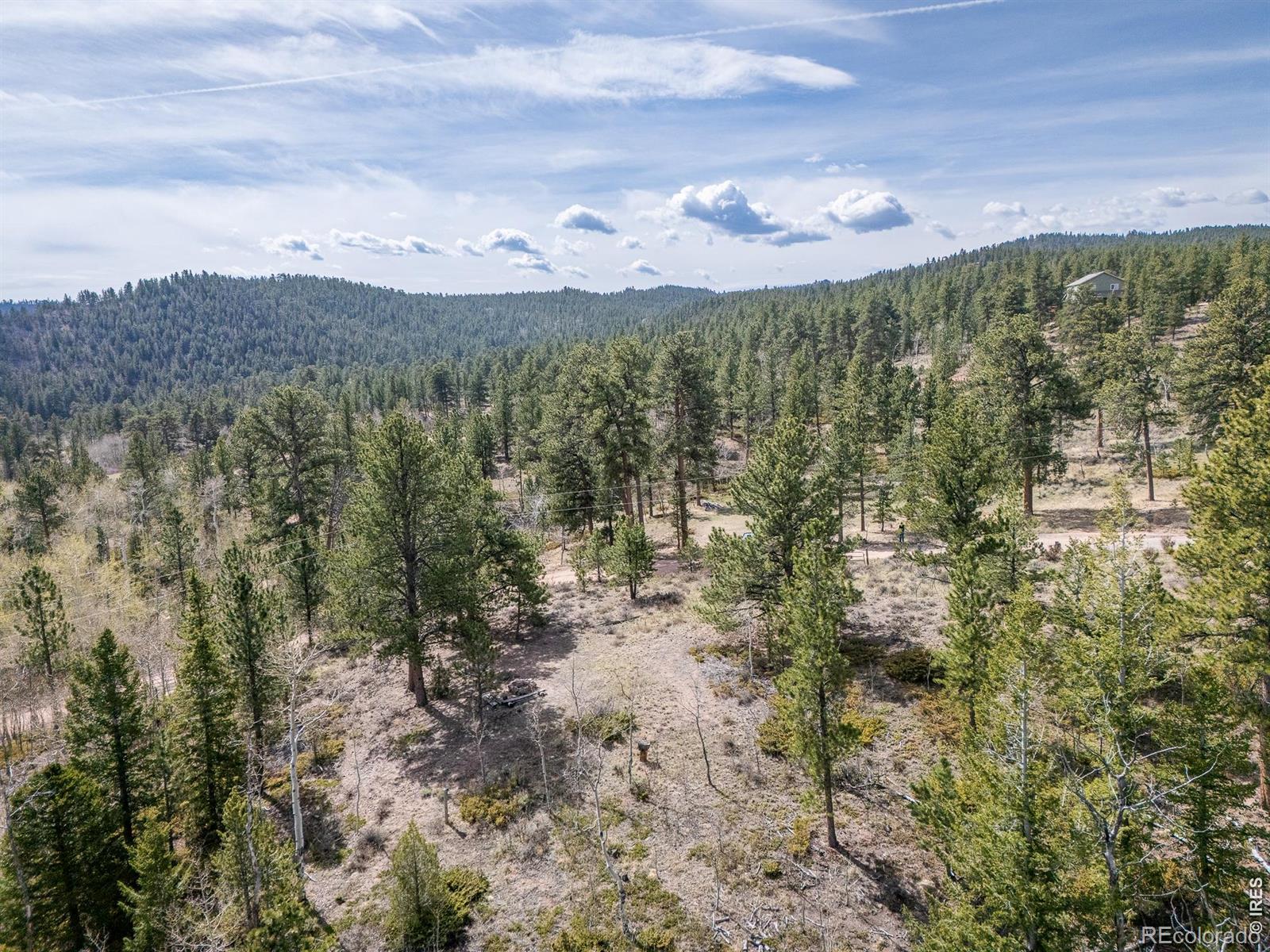 384 Ute Court Red Feather Lakes CO 80545