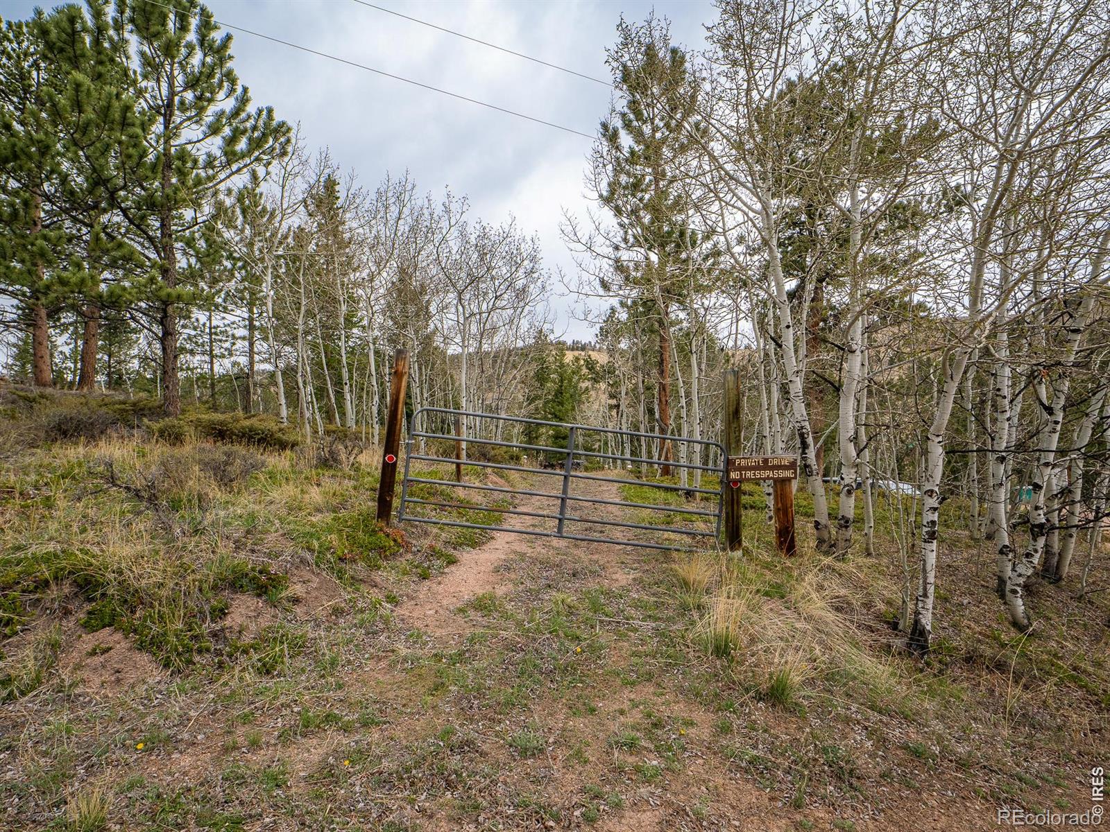 384 Ute Court Red Feather Lakes CO 80545