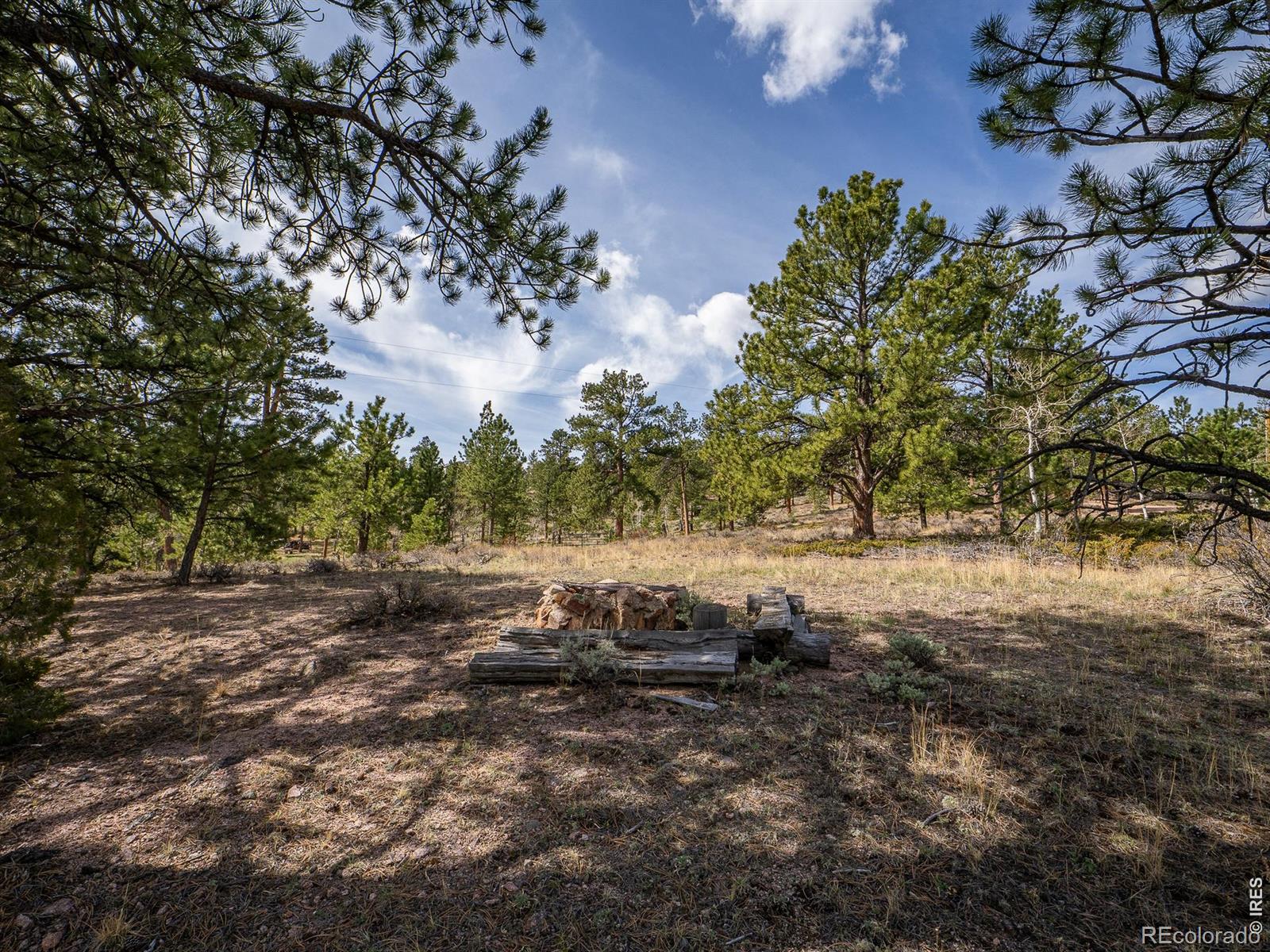 384 Ute Court Red Feather Lakes CO 80545