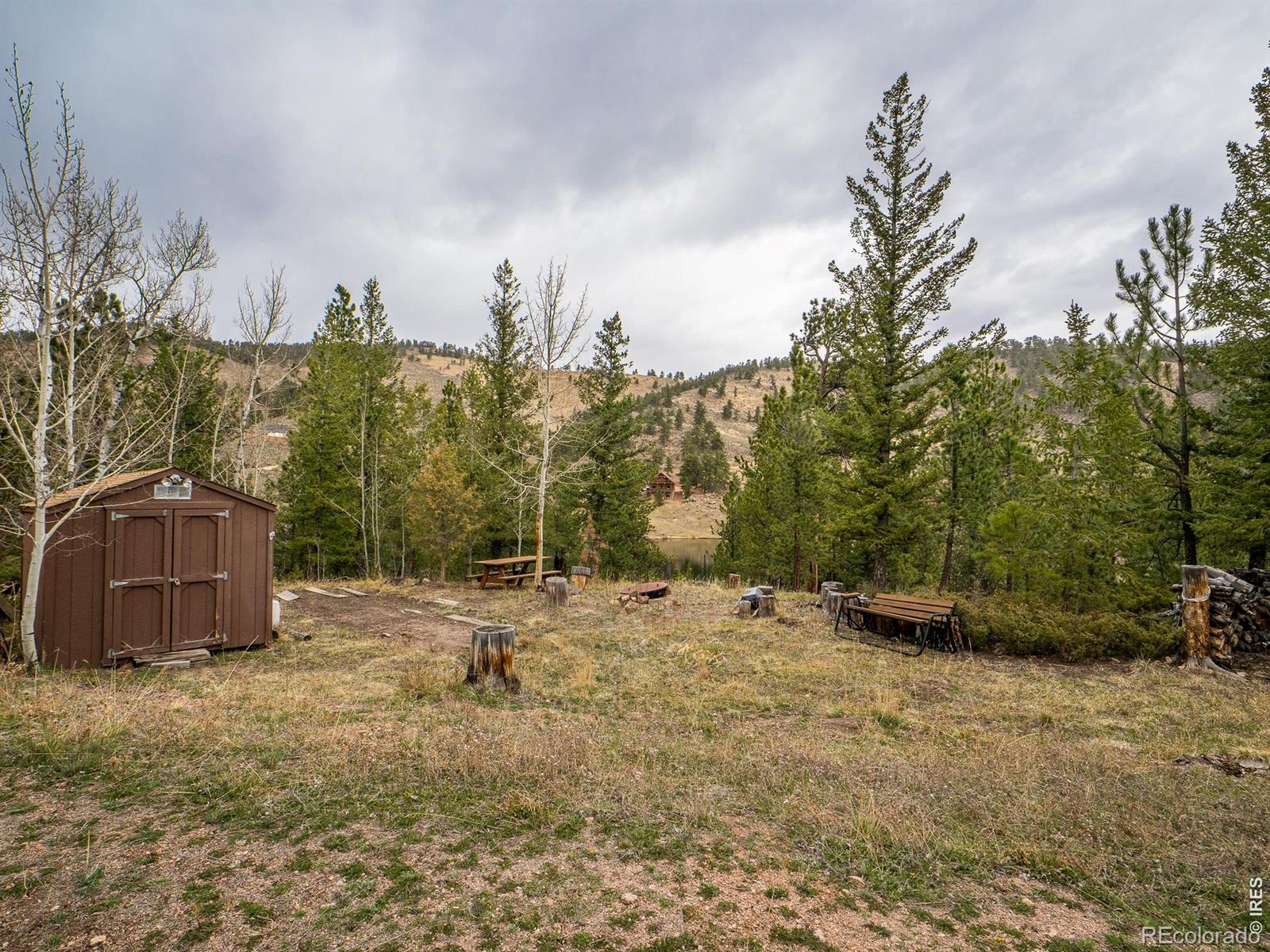 384 Ute Court Red Feather Lakes CO 80545