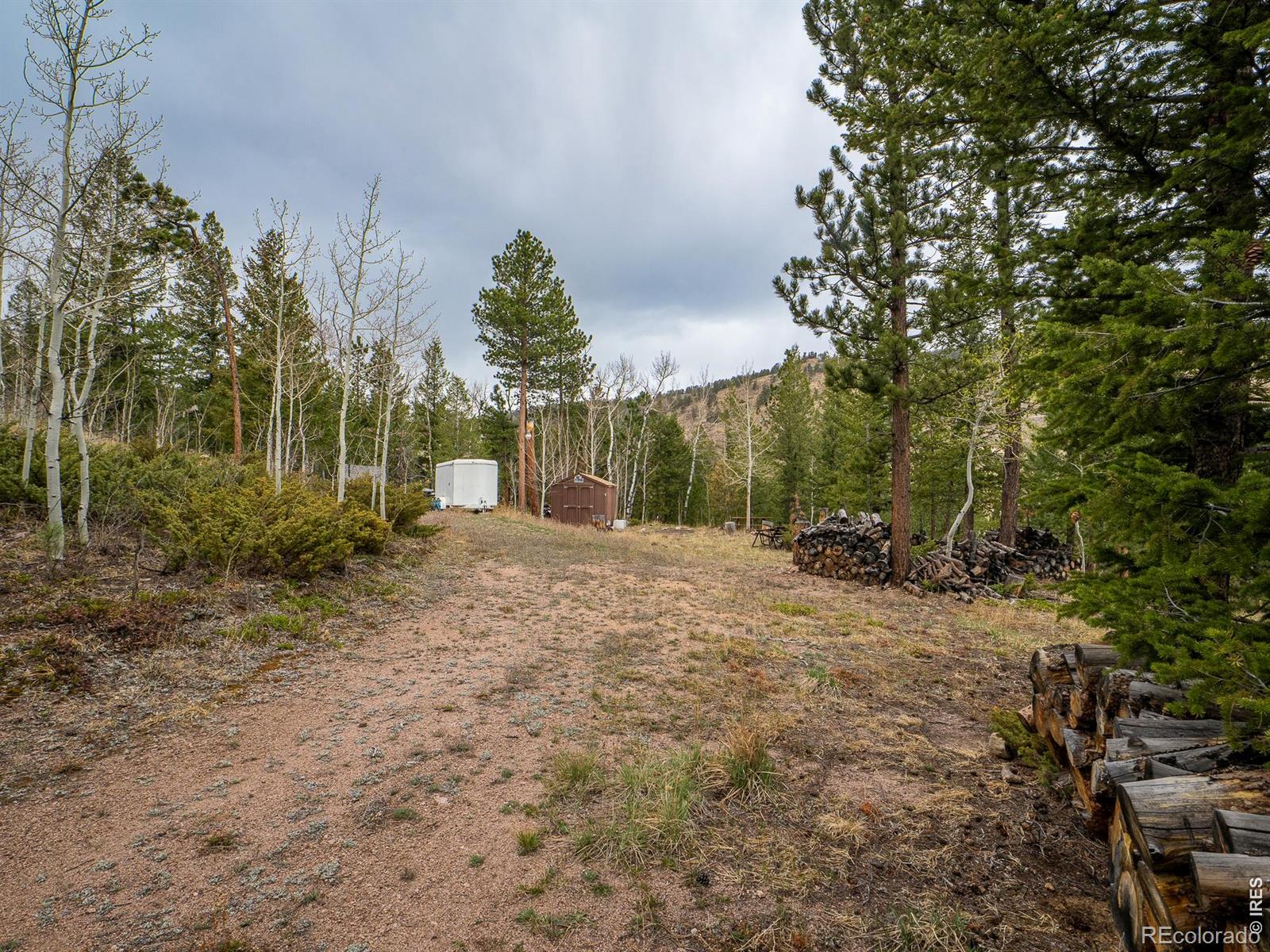 384 Ute Court Red Feather Lakes CO 80545